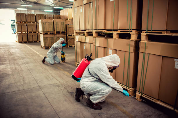 Wasp Removal Services in Davenport, IA