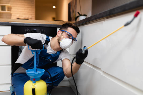 Best Wildlife Control Services  in Davenport, IA