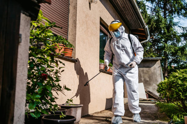 Bird Control in Davenport, IA