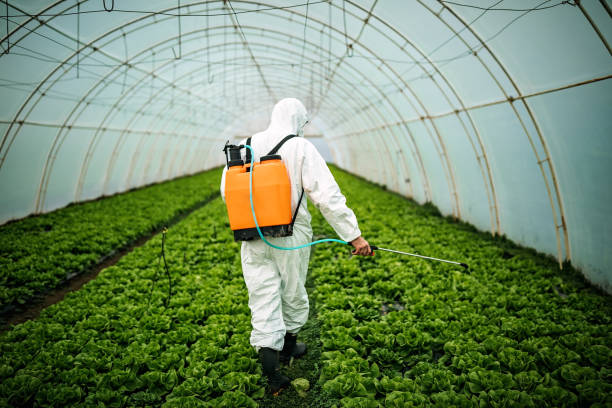 Best Commercial Pest Control Services  in Davenport, IA