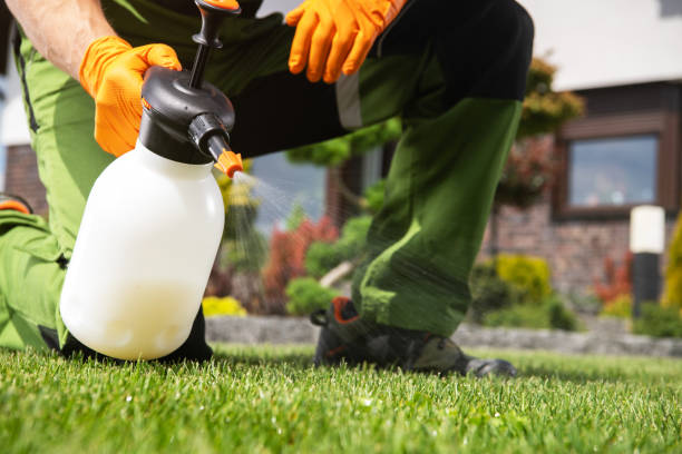 Best Local Pest Control Services  in Davenport, IA