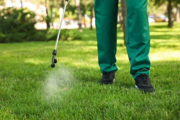 Best Pest Inspection Near Me  in Davenport, IA