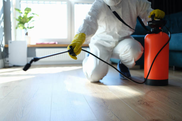 Best Residential Pest Control  in Davenport, IA