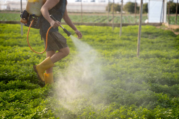Best Best Pest Control Companies  in Davenport, IA