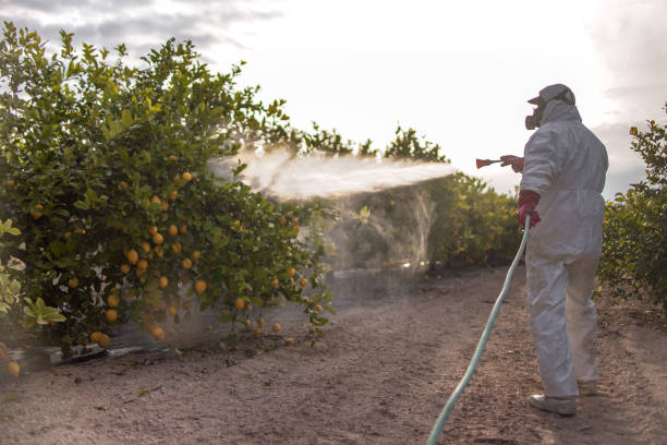 Best Pest Removal Services  in Davenport, IA