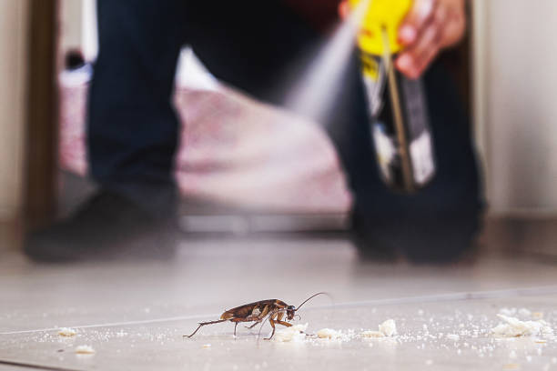 Reliable Davenport, IA Pest Control Solutions