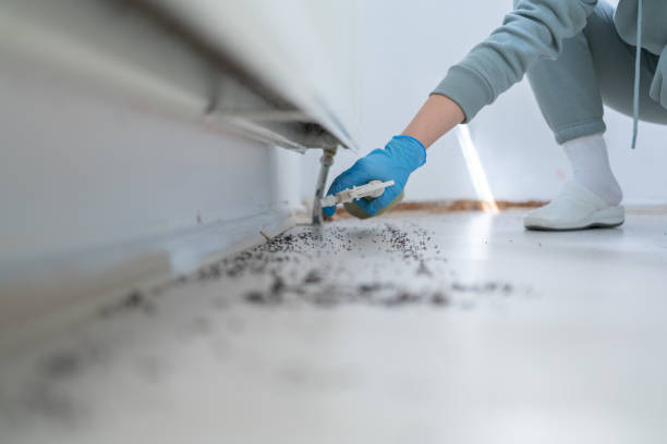 Best Affordable Exterminators  in Davenport, IA